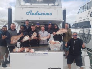 Audacious Boat Fishing Charters